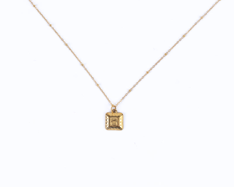 COLLAR SIGNO ZODIACAL ML